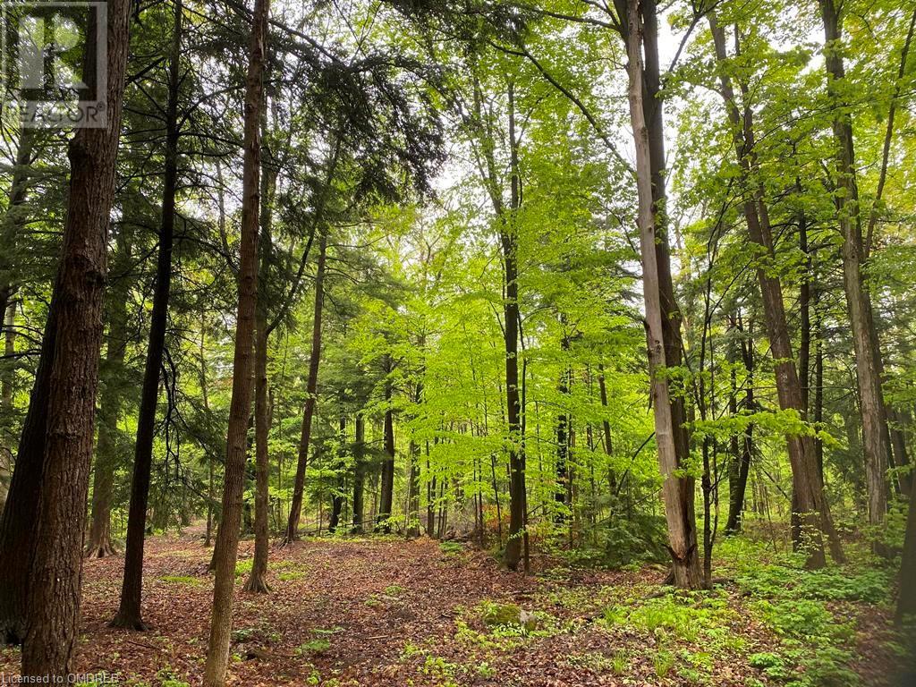 0 Fourth Line Nassagaweya, Milton, Ontario  N0B 2K0 - Photo 5 - 40344220