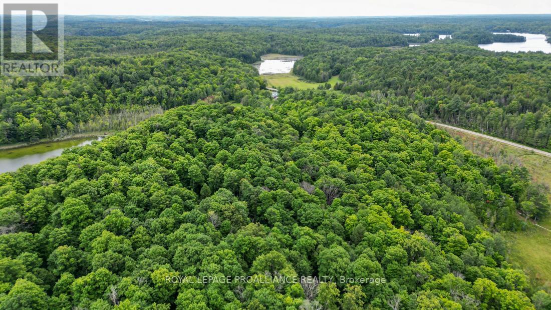 1268a South Road, North Frontenac, Ontario  K0H 1K0 - Photo 28 - X7387962