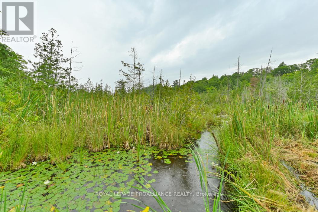 1268a South Rd, North Frontenac, Ontario  K0H 1K0 - Photo 4 - X7387962