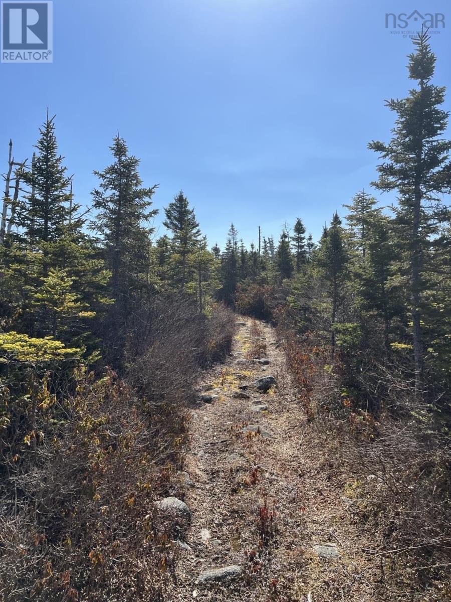 Lot Bald Rock Road, Bald Rock, Nova Scotia  B3V 1K9 - Photo 1 - 202315285