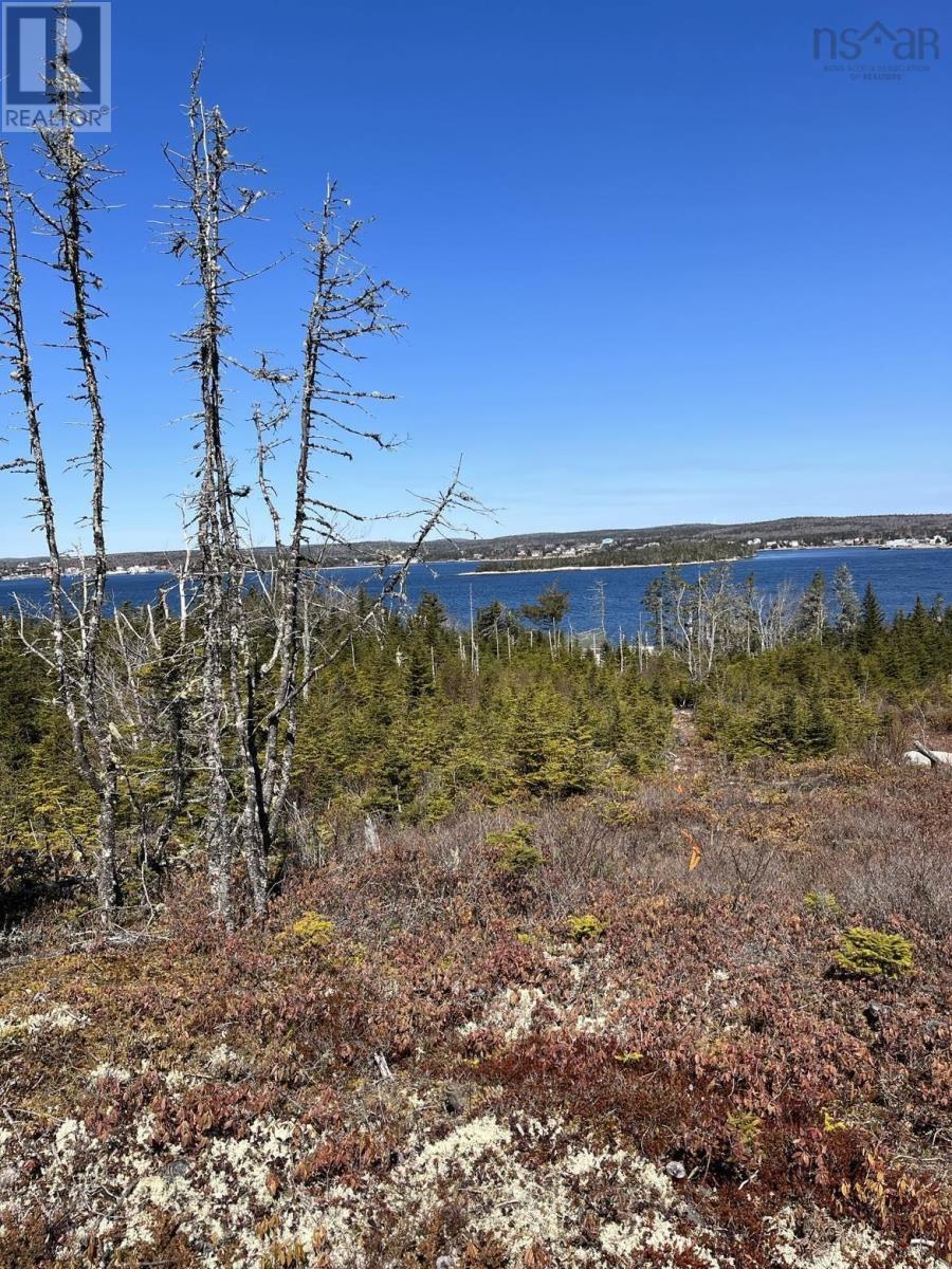 Lot Bald Rock Road, Bald Rock, Nova Scotia  B3V 1K9 - Photo 2 - 202315285