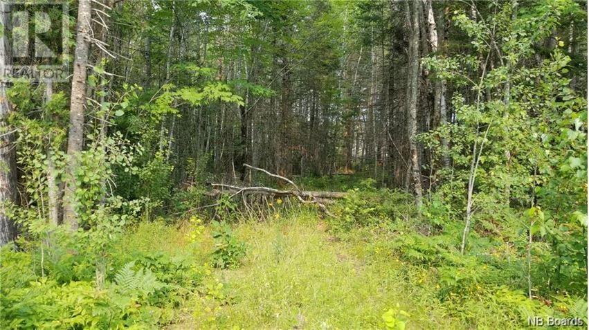 Lot 2021-5 Sunpoke Road, rusagonis, New Brunswick