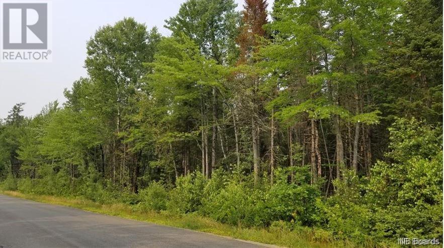 Lot 2021-5 Sunpoke Road, Rusagonis, New Brunswick  E3B 8Y6 - Photo 6 - NB094874