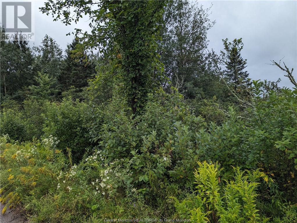 42 Mcfarlane Rd, Berry Mills, New Brunswick  E1G 2M4 - Photo 3 - M154833