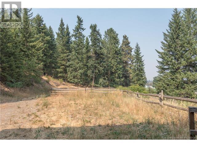 4239 Salmon River Road, Armstrong, British Columbia  V0E 1B4 - Photo 33 - 10301143