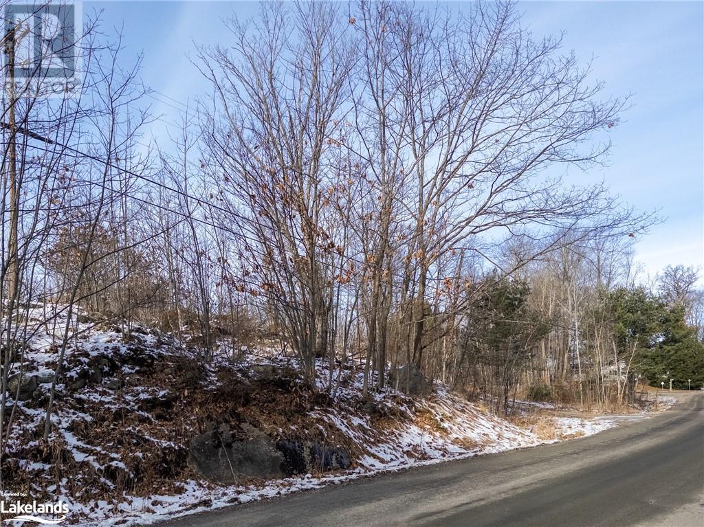 0 Louisa Street, Mcdougall, Ontario  P2A 3C1 - Photo 18 - 40523755