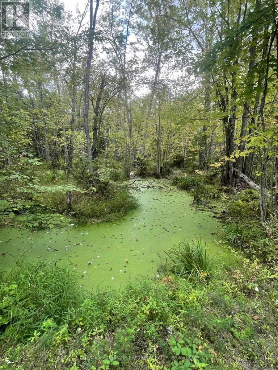 00 Adams-Cummings Road, Galway-Cavendish And Harvey, Ontario  K0L 2J0 - Photo 10 - X7392932