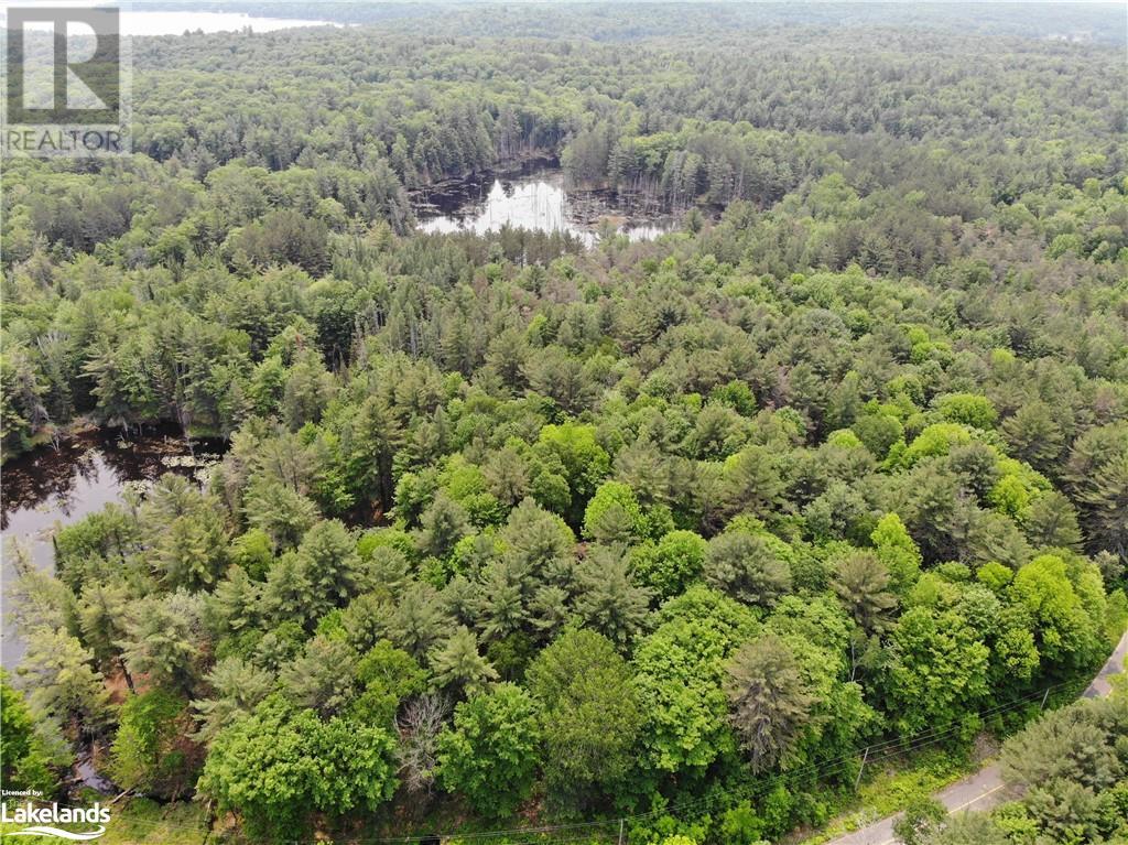 1369 Old Parry Sound Road, Utterson, Ontario  P0B 1M0 - Photo 2 - 40528463