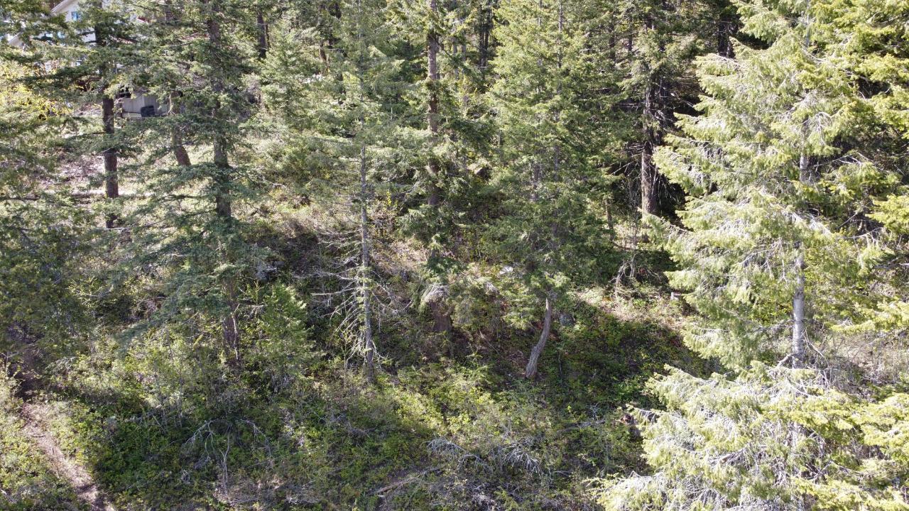 Lot 1 Mcleod Avenue, Rossland, British Columbia  V0G 1Y0 - Photo 20 - 2471116