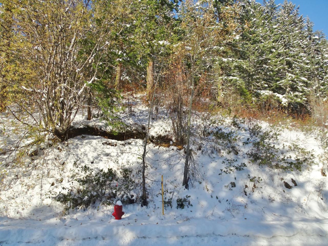 Lot 1 Mcleod Avenue, Rossland, British Columbia  V0G 1Y0 - Photo 44 - 2471116