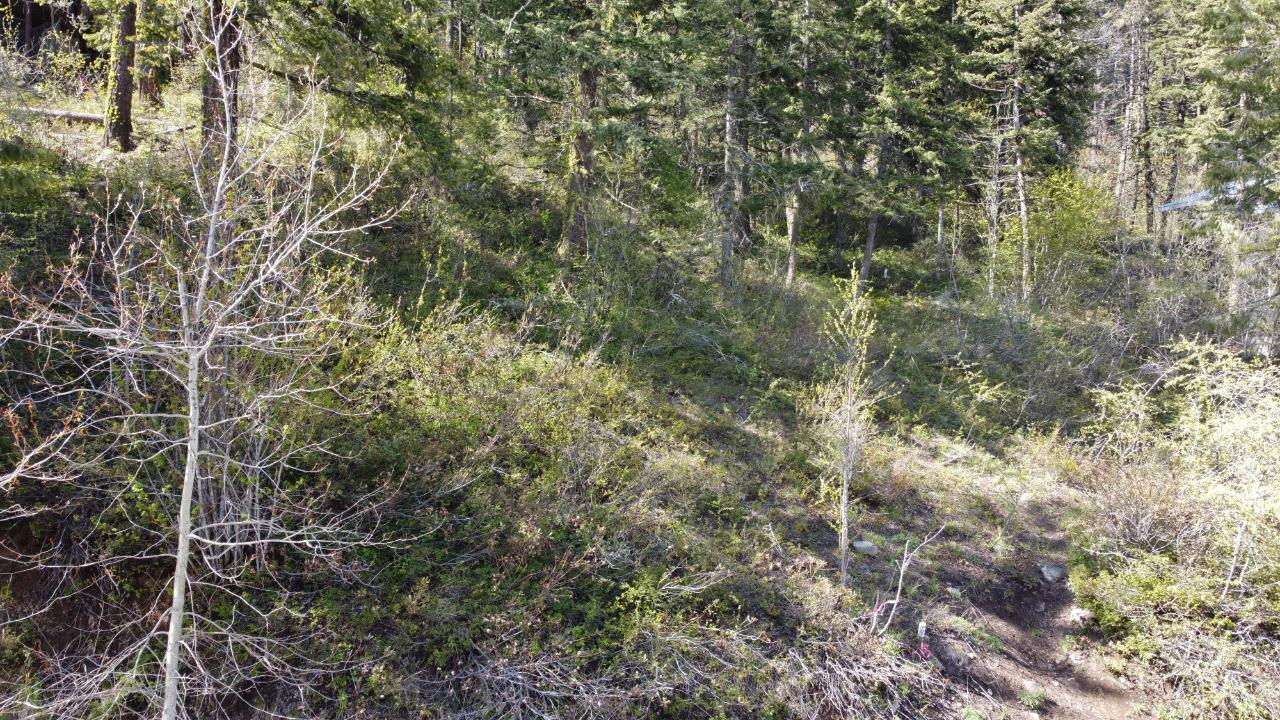 Lot 1 Mcleod Avenue, Rossland, British Columbia  V0G 1Y0 - Photo 37 - 2471116