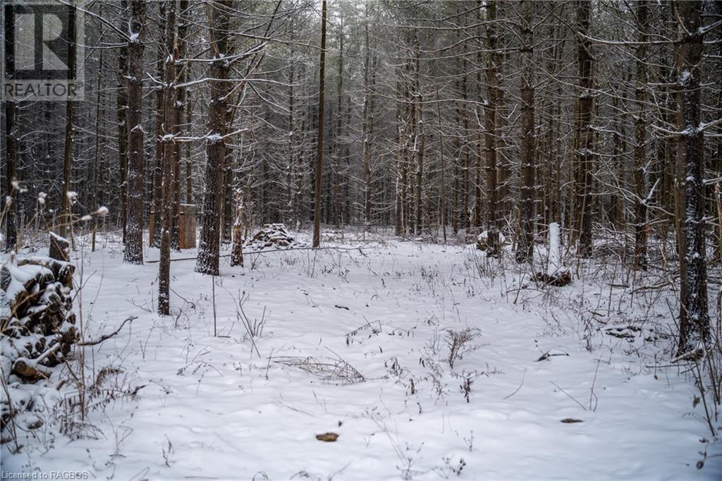 777215 Highway 10, Holland Centre, Ontario  N0H 1R0 - Photo 5 - 40528406