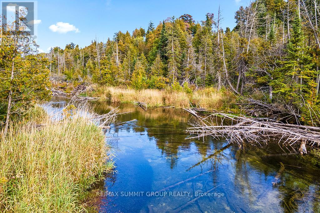 Ptlt 20 Sideroad 40, West Grey, Ontario  N0C 1H0 - Photo 15 - X7393564