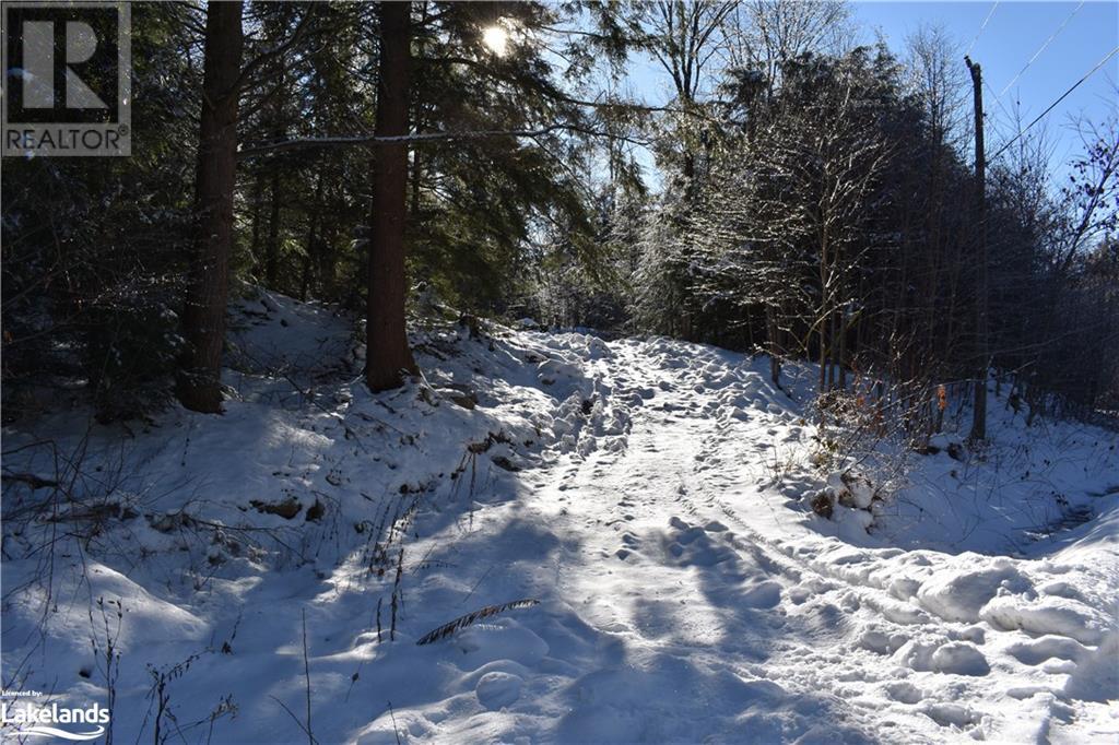 1259 Germania Road, Bracebridge, Ontario  P1P 1R3 - Photo 2 - 40522835