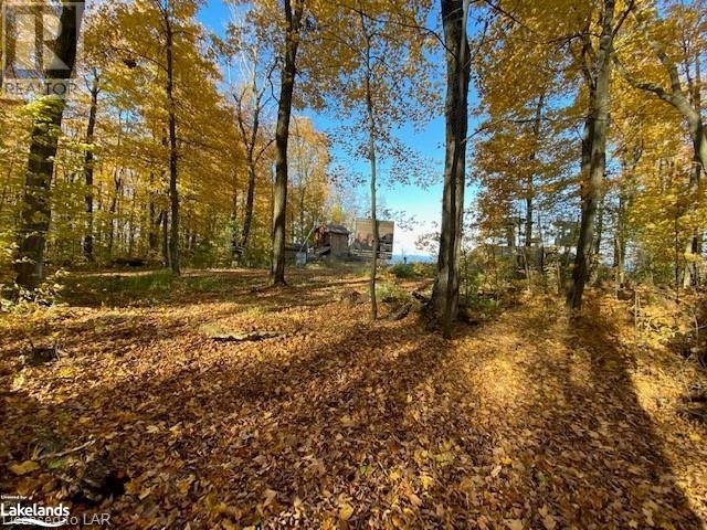 153 Maple Lane, The Blue Mountains, Ontario  L9Y 3Z1 - Photo 13 - 40502455