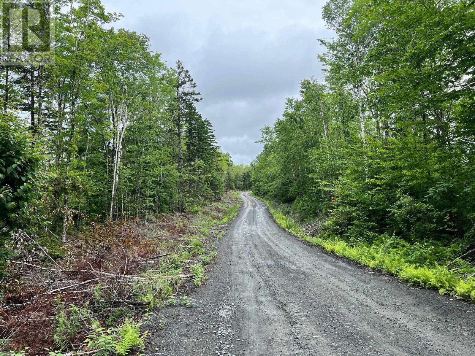 55 Russells Cove Road, Parkdale, Nova Scotia  B0R 1A0 - Photo 3 - 202400717