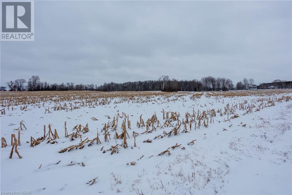 41456 Harriston Road, Bluevale, Ontario  N0G 1G0 - Photo 8 - 40528998