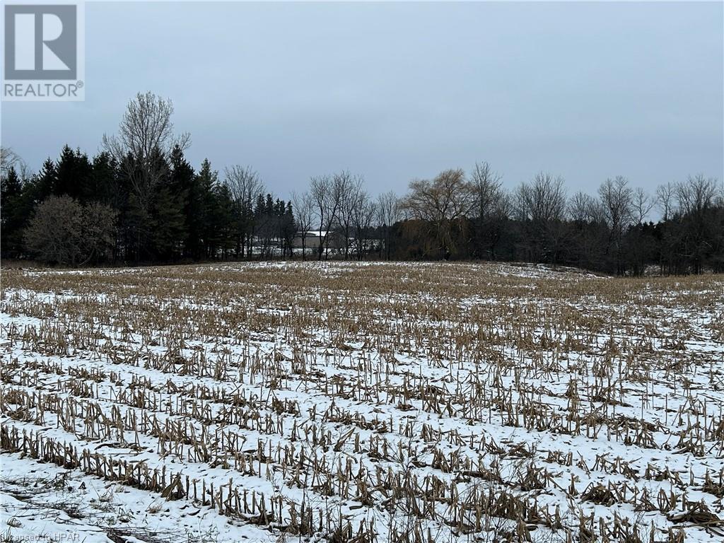 42440 Hydro Line Road, Seaforth, Ontario  N0K 1G0 - Photo 17 - 40529012