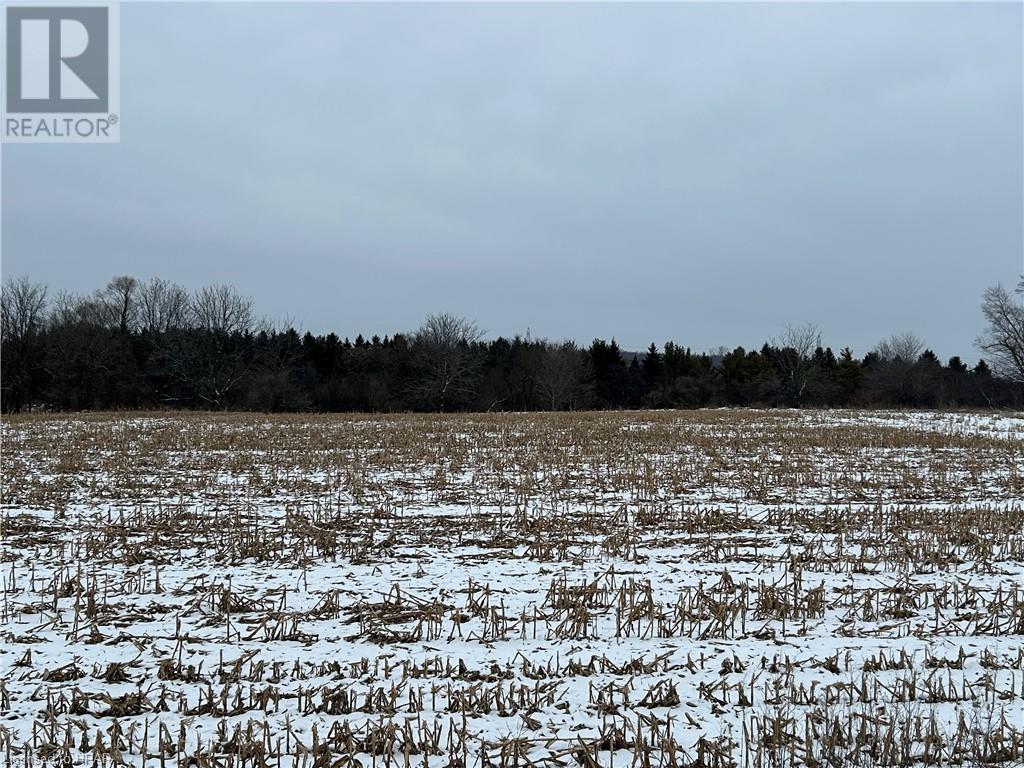 42440 Hydro Line Road, Seaforth, Ontario  N0K 1G0 - Photo 18 - 40529012