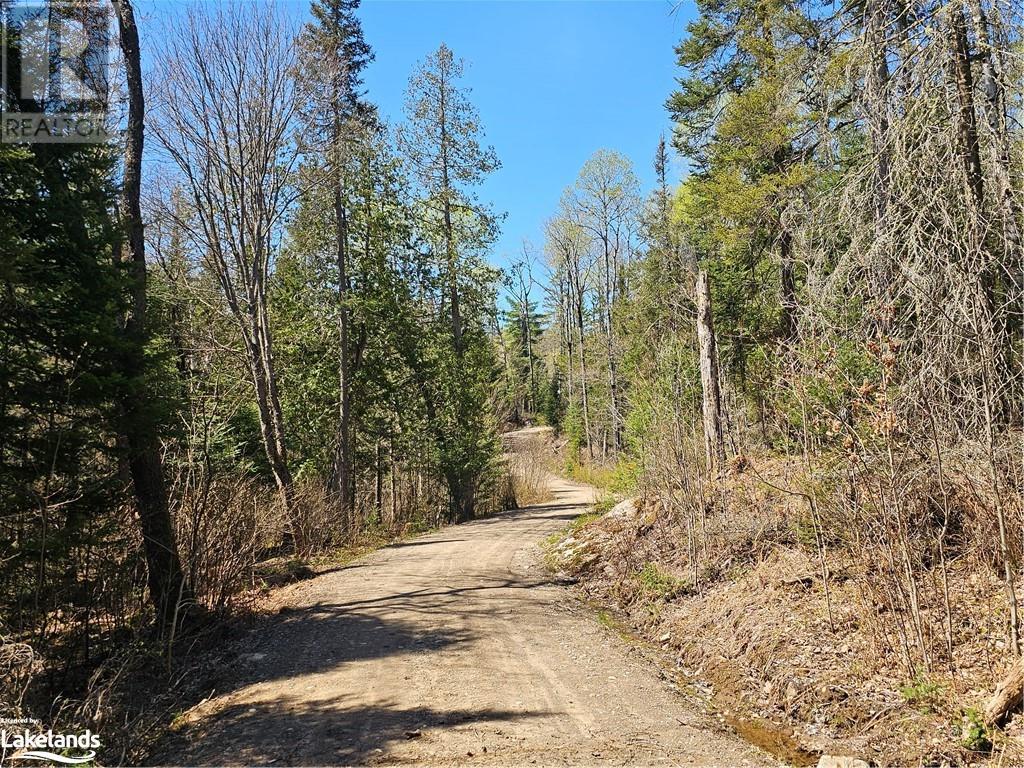 0 Gibbons Road, Sundridge, Ontario  P0A 1Z0 - Photo 6 - 40524820