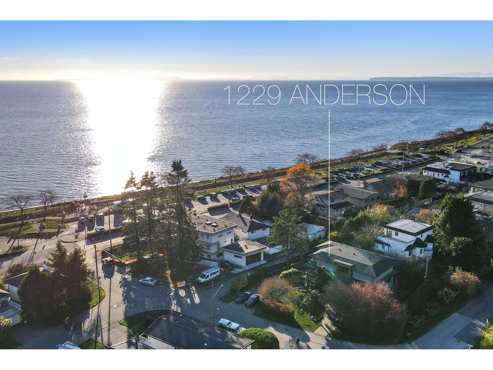 Listing Picture 39 of 40 : 1229 ANDERSON STREET, White Rock - 魯藝地產 Yvonne Lu Group - MLS Medallion Club Member