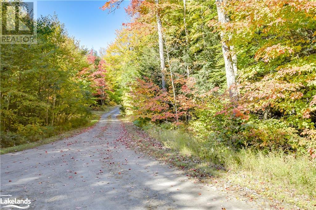 1518 Lone Pine Drive, Bracebridge, Ontario  P1L 1X4 - Photo 22 - 40529315