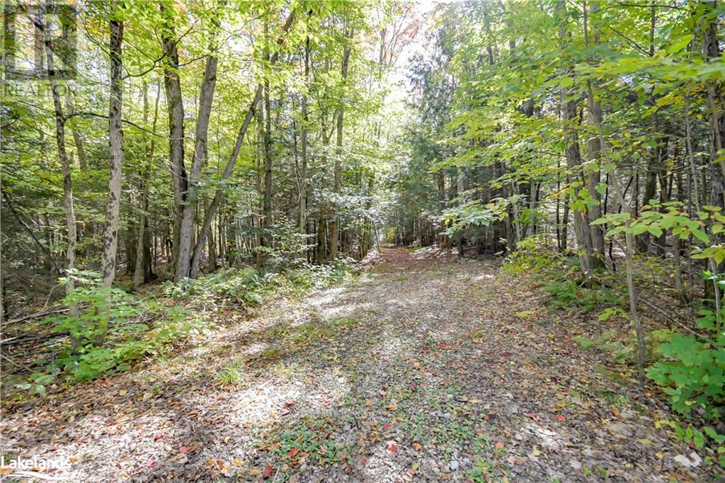 1518 Lone Pine Drive, Bracebridge, Ontario  P1L 1X4 - Photo 34 - 40529315