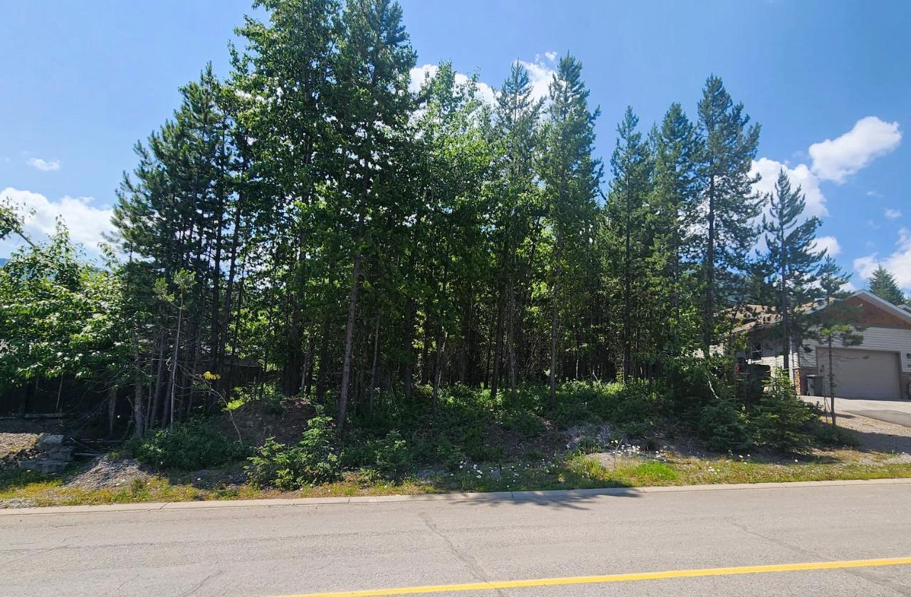 51 DARBY CRESCENT, elkford, British Columbia