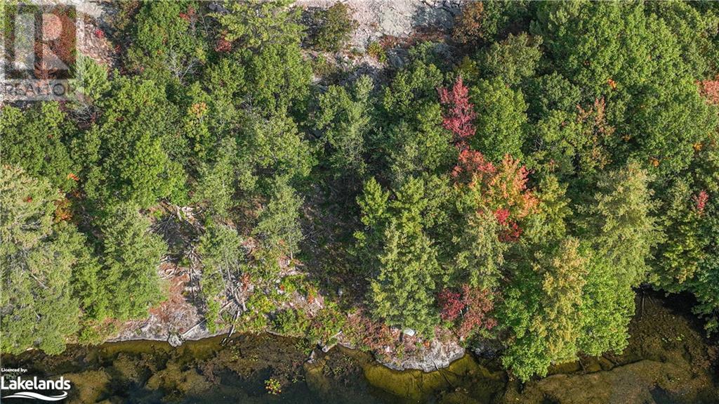 1110 Flanagan Trail, Gravenhurst, Ontario  P0E 1G0 - Photo 15 - 40529501