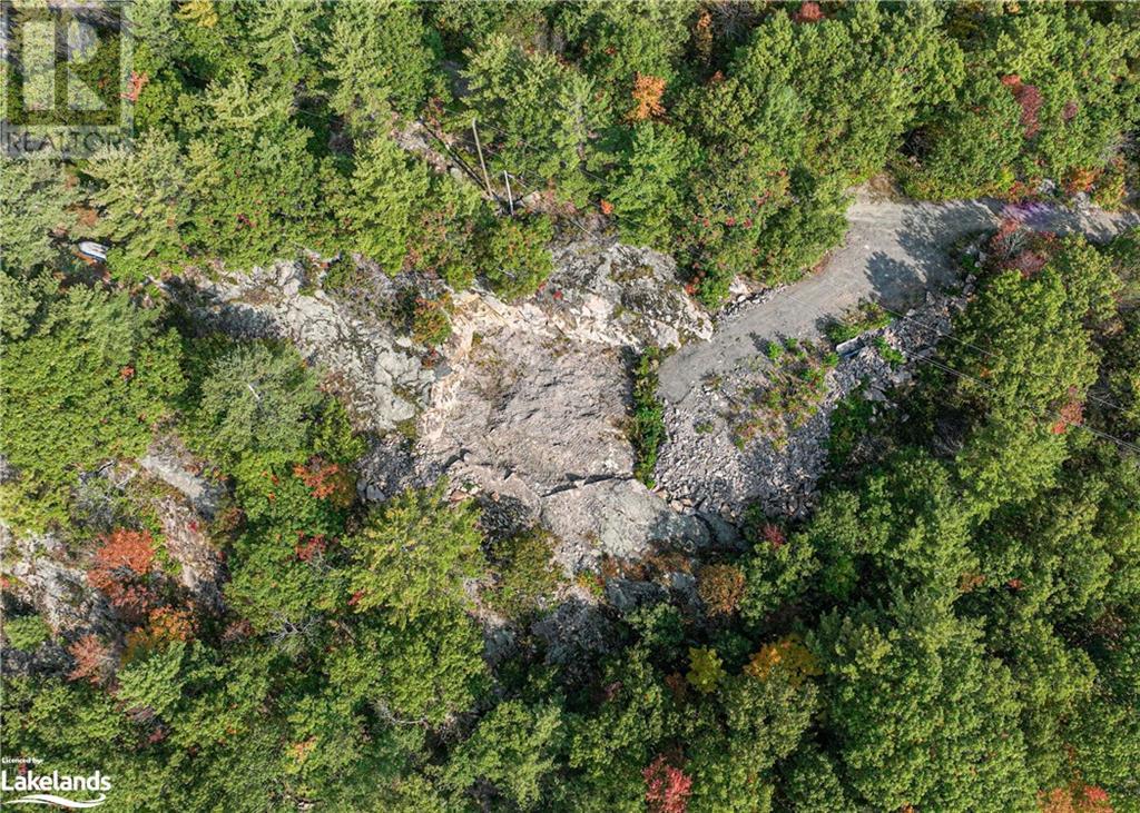 1110 Flanagan Trail, Gravenhurst, Ontario  P0E 1G0 - Photo 18 - 40529501