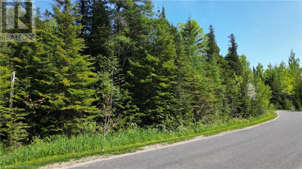 Pt Lt 24 Spry Shore Road, Northern Bruce Peninsula, Ontario  N0H 1W0 - Photo 3 - 40529453