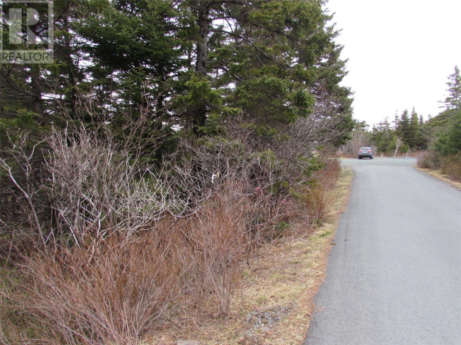 15-17 Bally Hack Road, Avondale, Newfoundland & Labrador