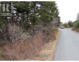 15-17 Bally Hack Road, Avondale, Newfoundland & Labrador
