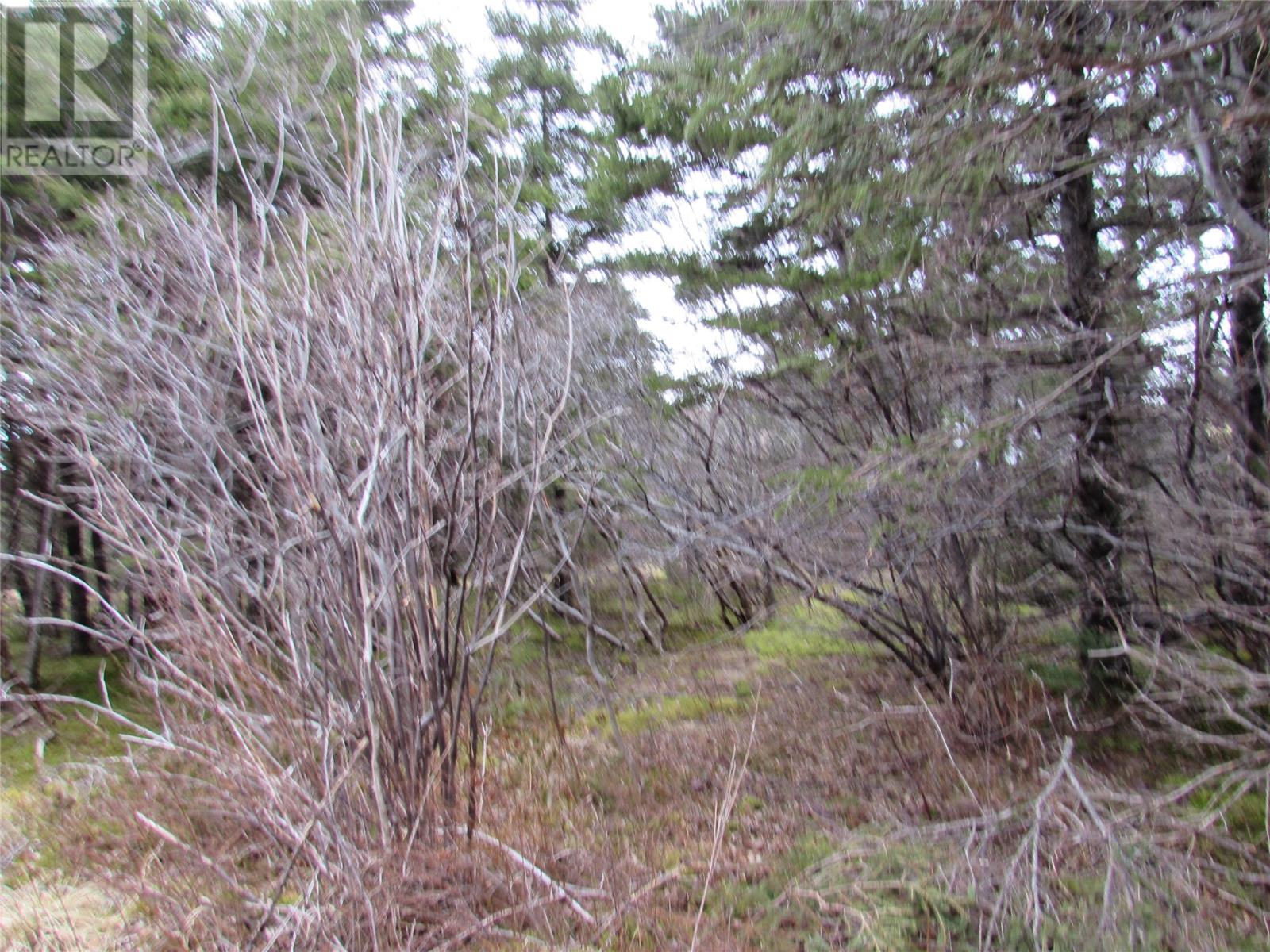 15-17 Bally Hack Road, Avondale, Newfoundland & Labrador  A0A 1B0 - Photo 10 - 1266970