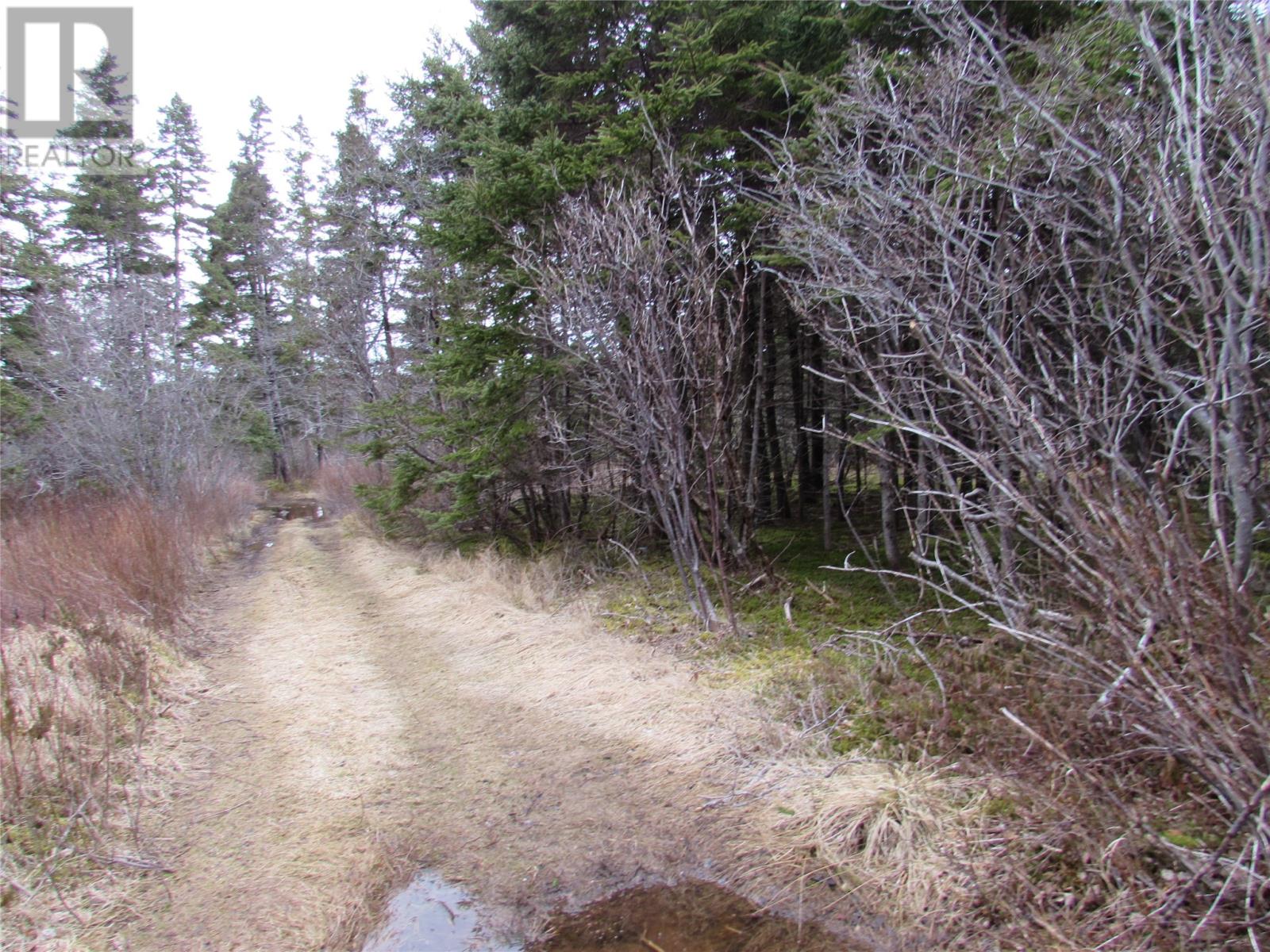 15-17 Bally Hack Road, Avondale, Newfoundland & Labrador  A0A 1B0 - Photo 11 - 1266970