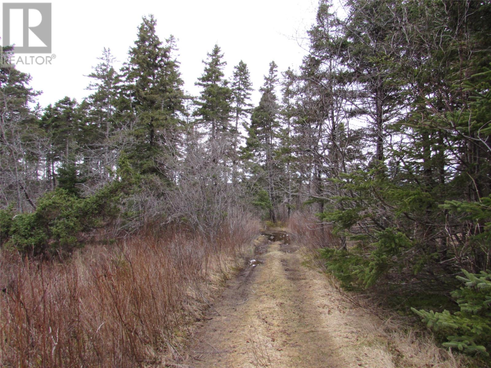 15-17 Bally Hack Road, Avondale, Newfoundland & Labrador  A0A 1B0 - Photo 12 - 1266970