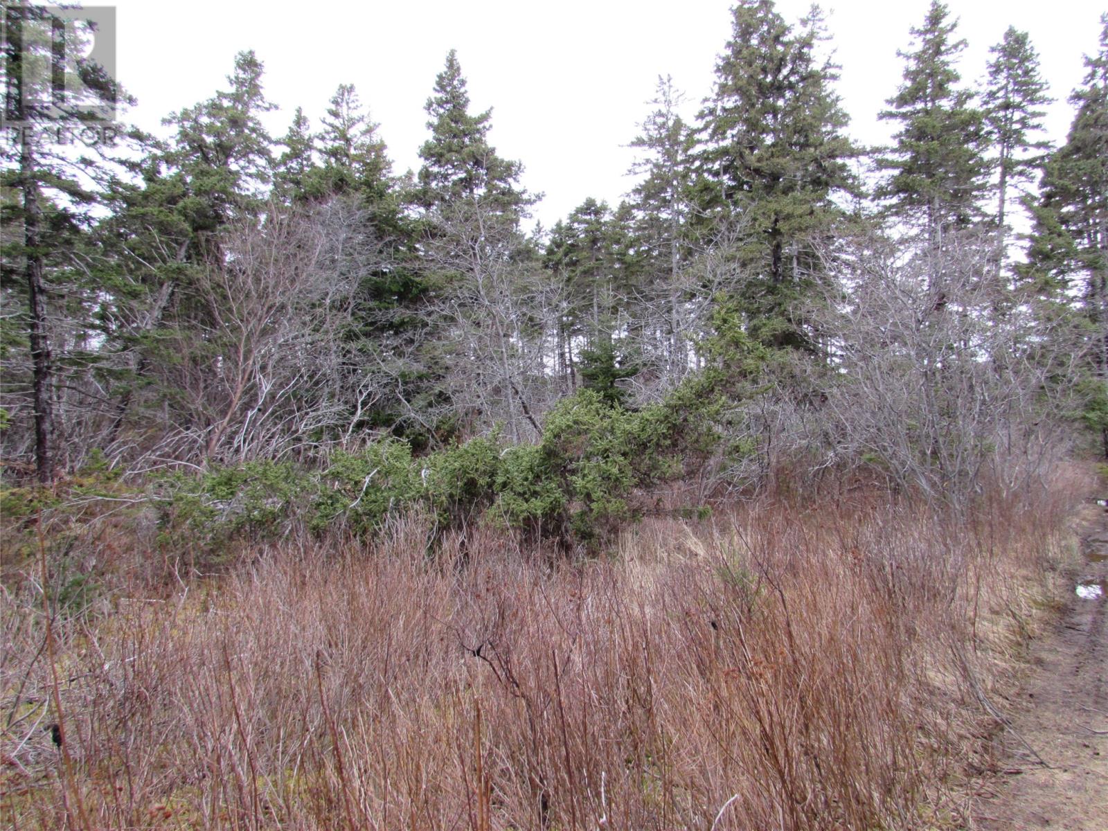 15-17 Bally Hack Road, Avondale, Newfoundland & Labrador  A0A 1B0 - Photo 13 - 1266970