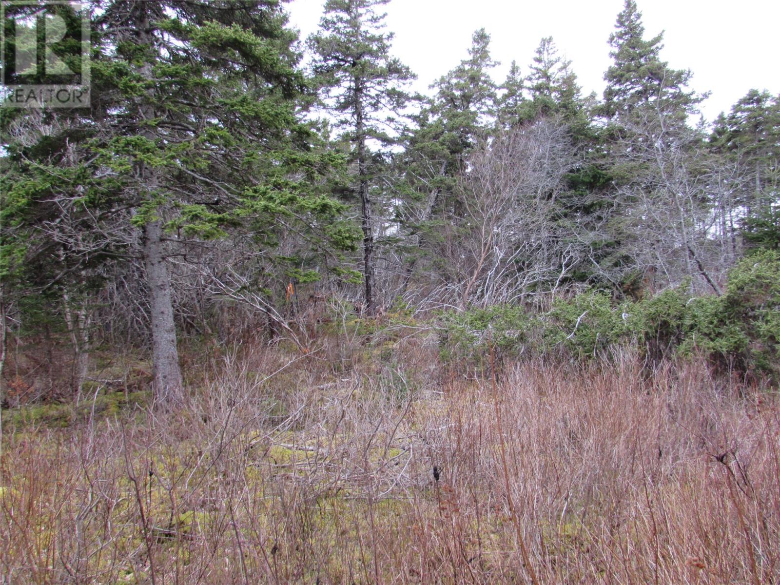15-17 Bally Hack Road, Avondale, Newfoundland & Labrador  A0A 1B0 - Photo 14 - 1266970