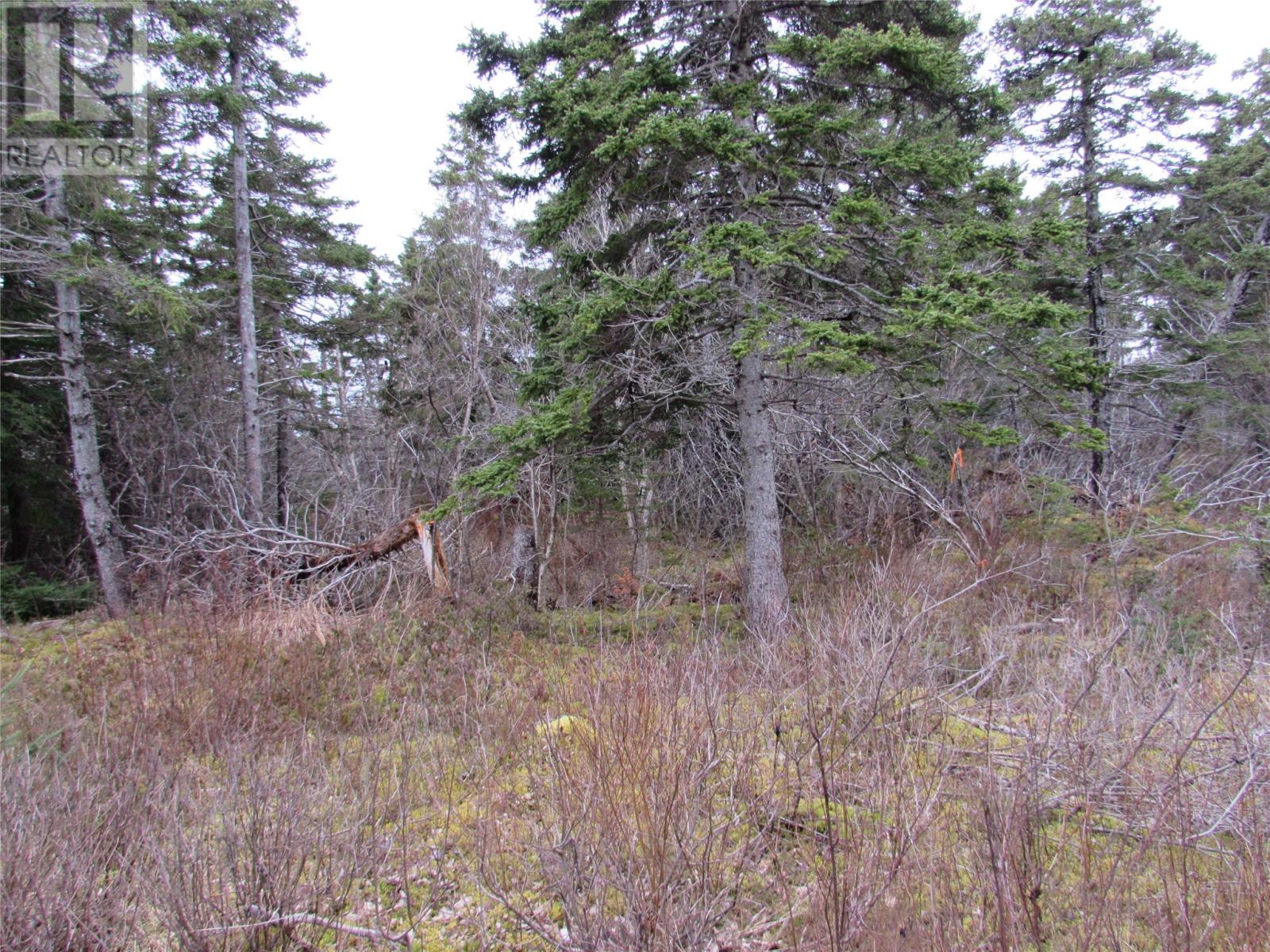 15-17 Bally Hack Road, Avondale, Newfoundland & Labrador  A0A 1B0 - Photo 15 - 1266970
