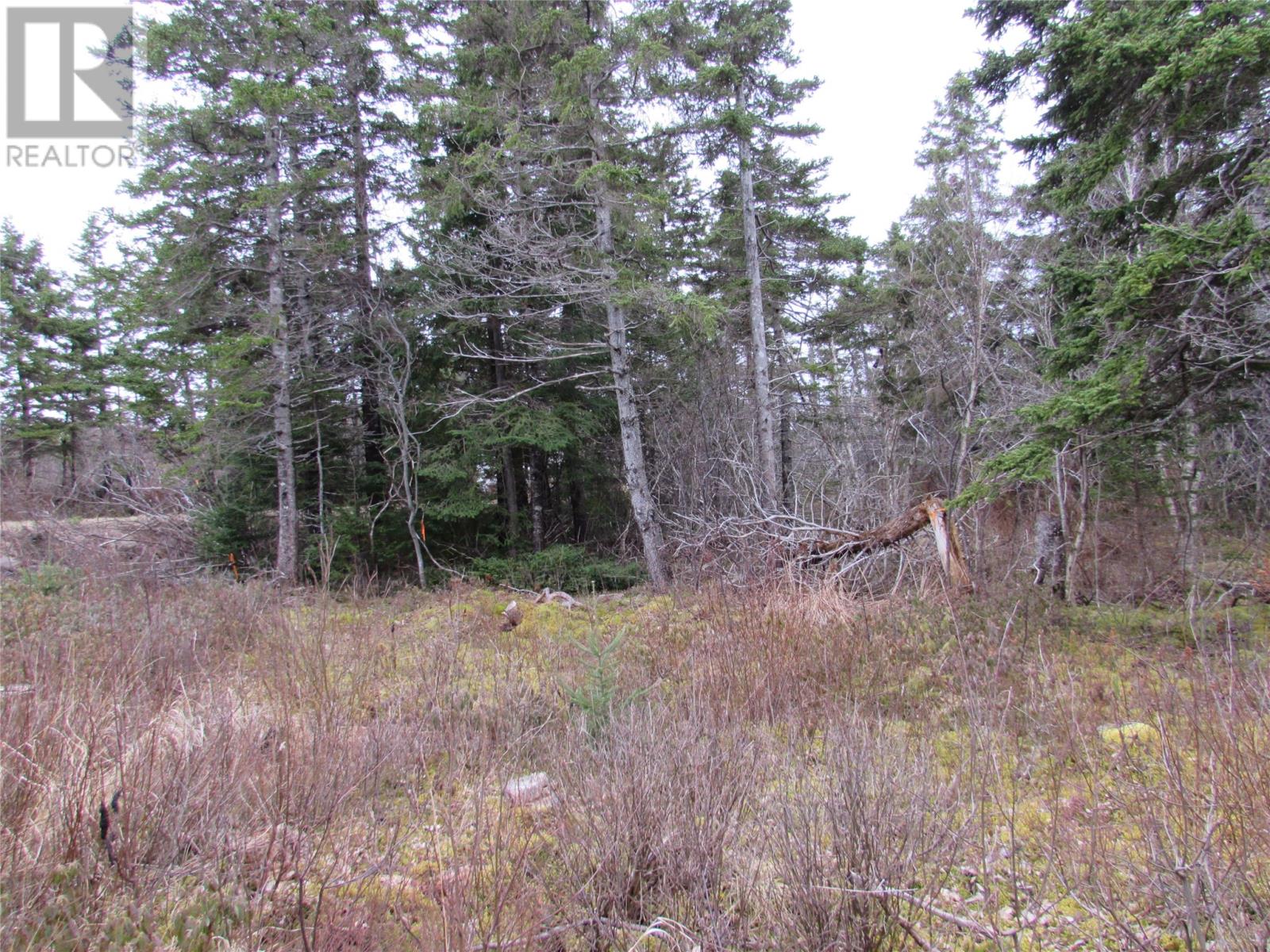 15-17 Bally Hack Road, Avondale, Newfoundland & Labrador  A0A 1B0 - Photo 16 - 1266970