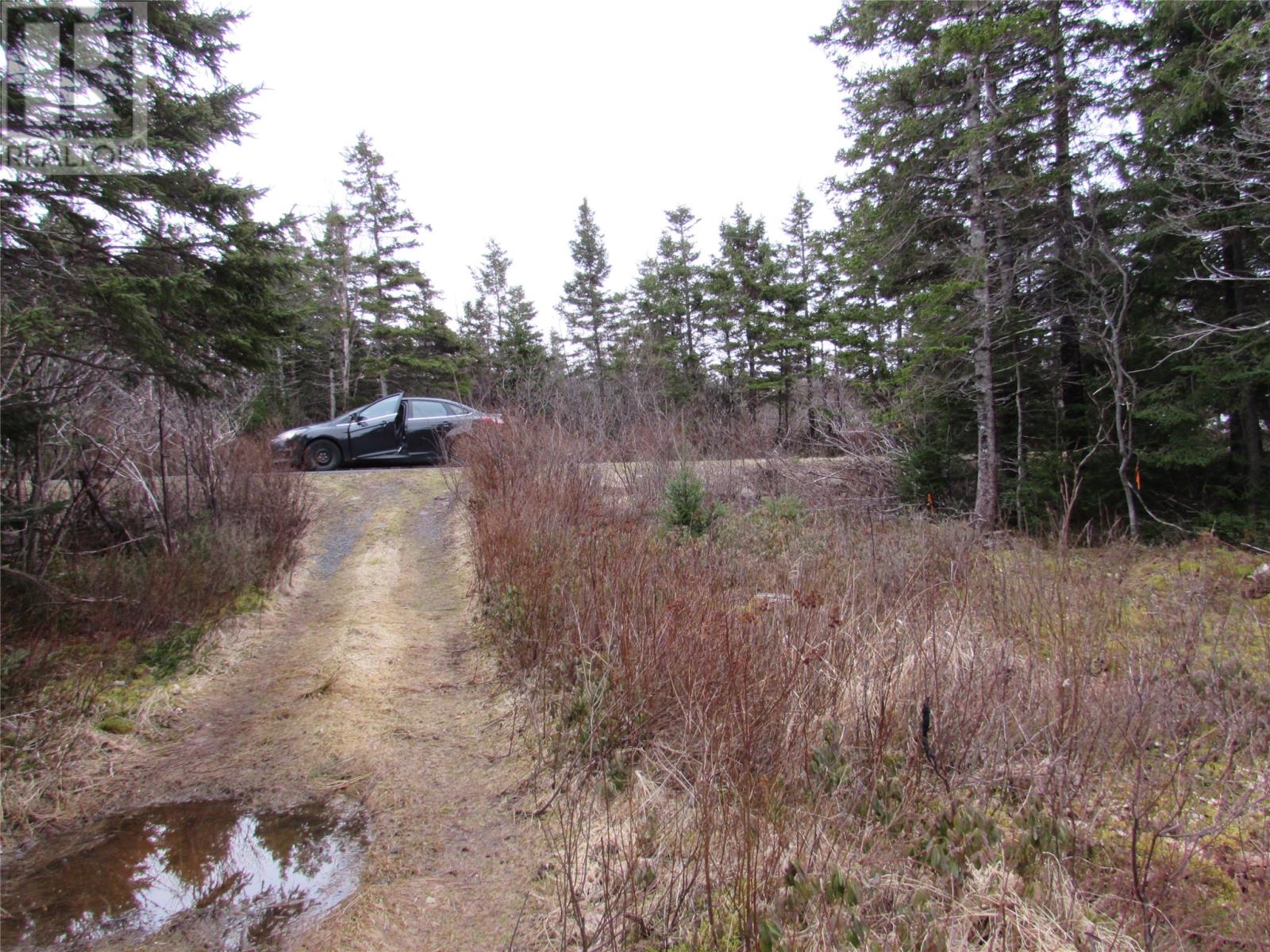 15-17 Bally Hack Road, Avondale, Newfoundland & Labrador  A0A 1B0 - Photo 17 - 1266970