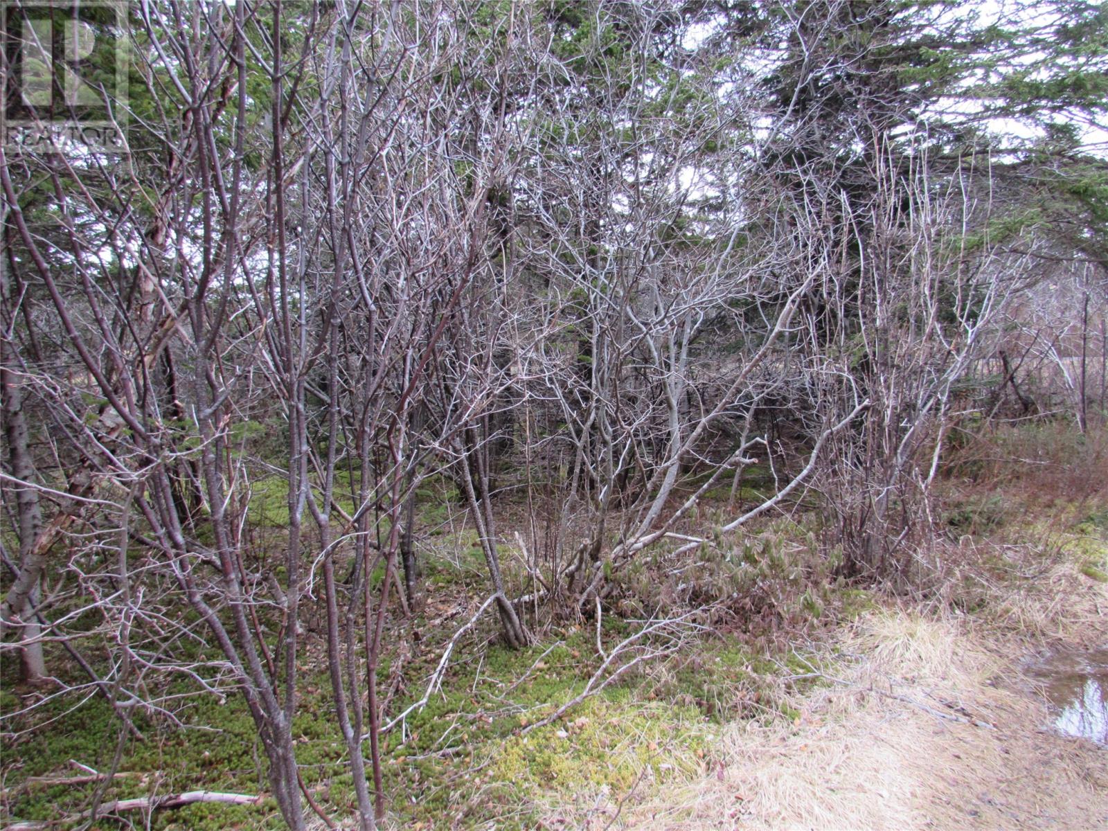 15-17 Bally Hack Road, Avondale, Newfoundland & Labrador  A0A 1B0 - Photo 18 - 1266970