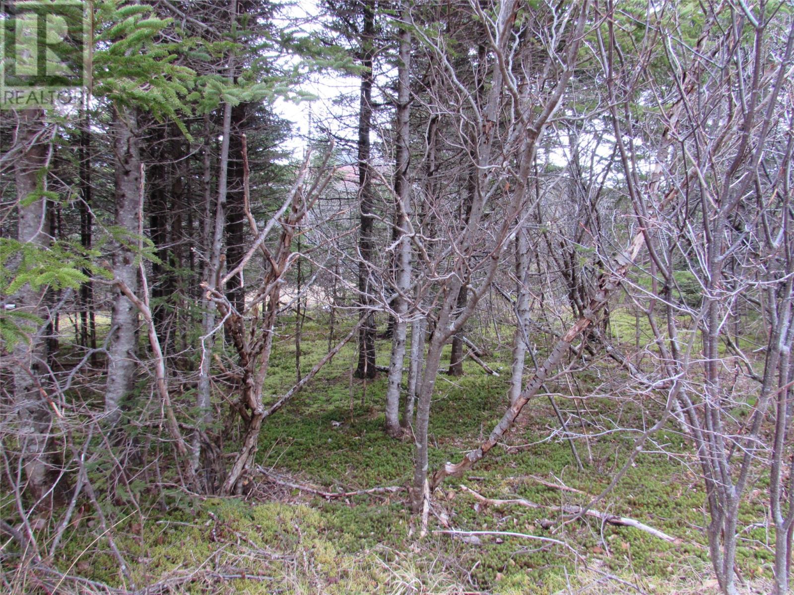 15-17 Bally Hack Road, Avondale, Newfoundland & Labrador  A0A 1B0 - Photo 19 - 1266970