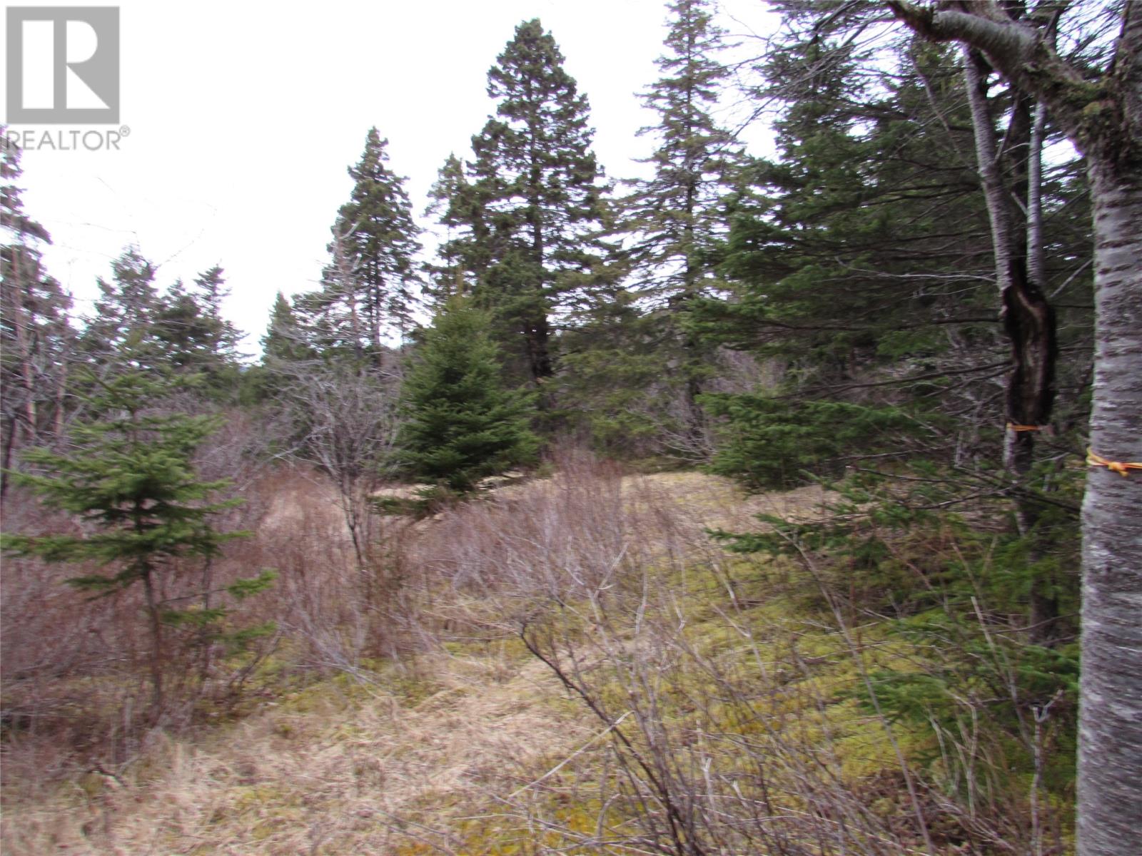 15-17 Bally Hack Road, Avondale, Newfoundland & Labrador  A0A 1B0 - Photo 20 - 1266970