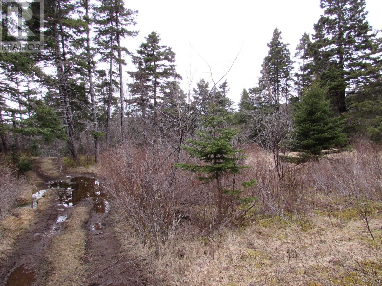 15-17 Bally Hack Road, Avondale, Newfoundland & Labrador  A0A 1B0 - Photo 21 - 1266970