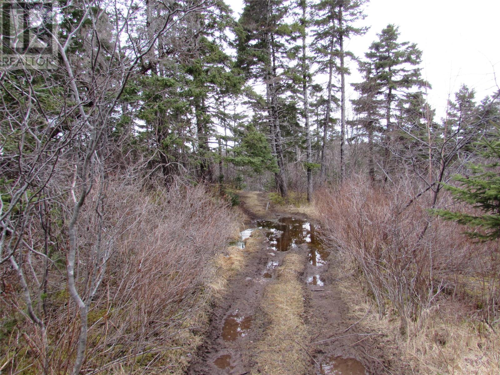 15-17 Bally Hack Road, Avondale, Newfoundland & Labrador  A0A 1B0 - Photo 22 - 1266970
