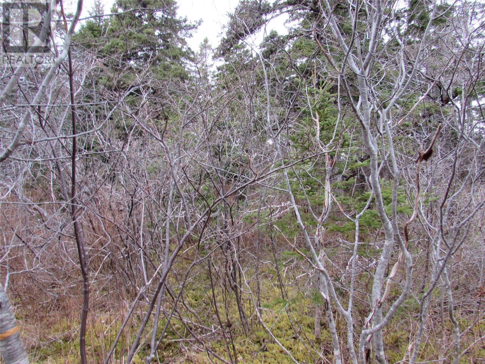 15-17 Bally Hack Road, Avondale, Newfoundland & Labrador  A0A 1B0 - Photo 23 - 1266970