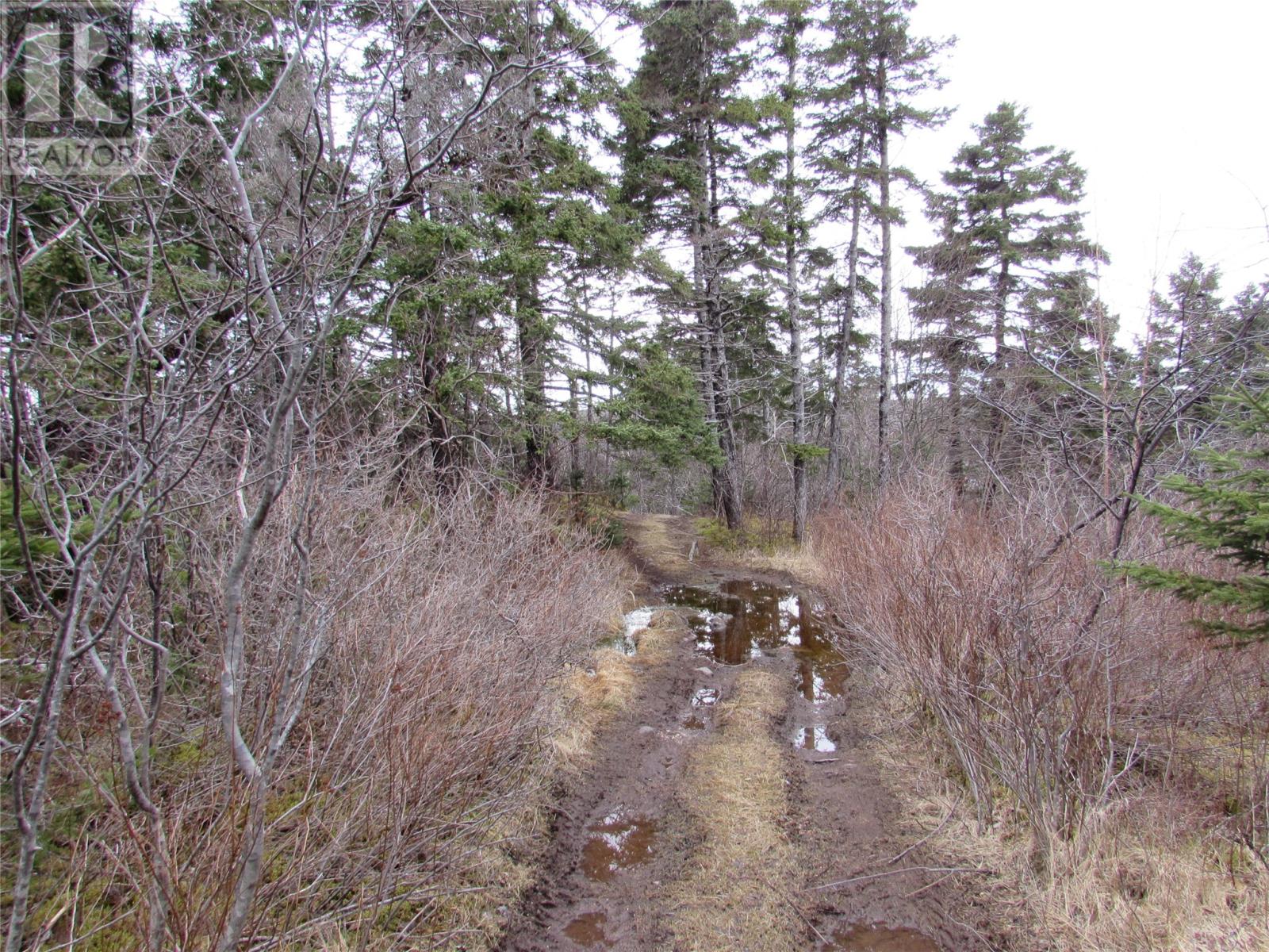 15-17 Bally Hack Road, Avondale, Newfoundland & Labrador  A0A 1B0 - Photo 25 - 1266970