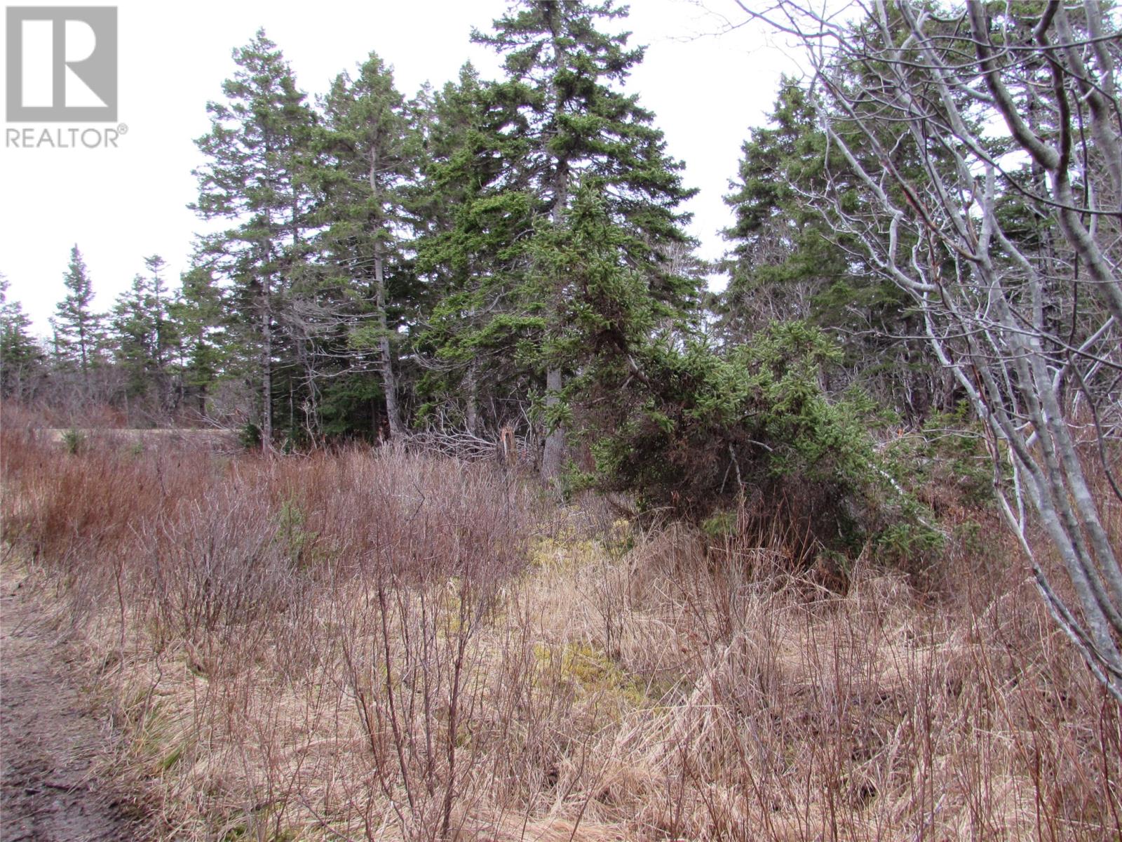 15-17 Bally Hack Road, Avondale, Newfoundland & Labrador  A0A 1B0 - Photo 27 - 1266970