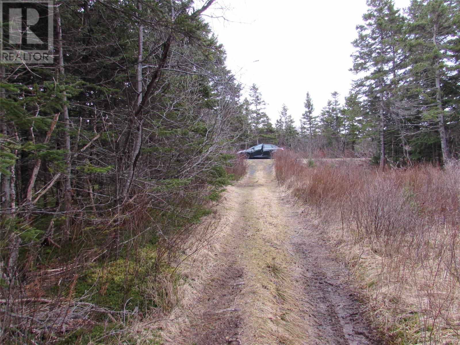 15-17 Bally Hack Road, Avondale, Newfoundland & Labrador  A0A 1B0 - Photo 28 - 1266970